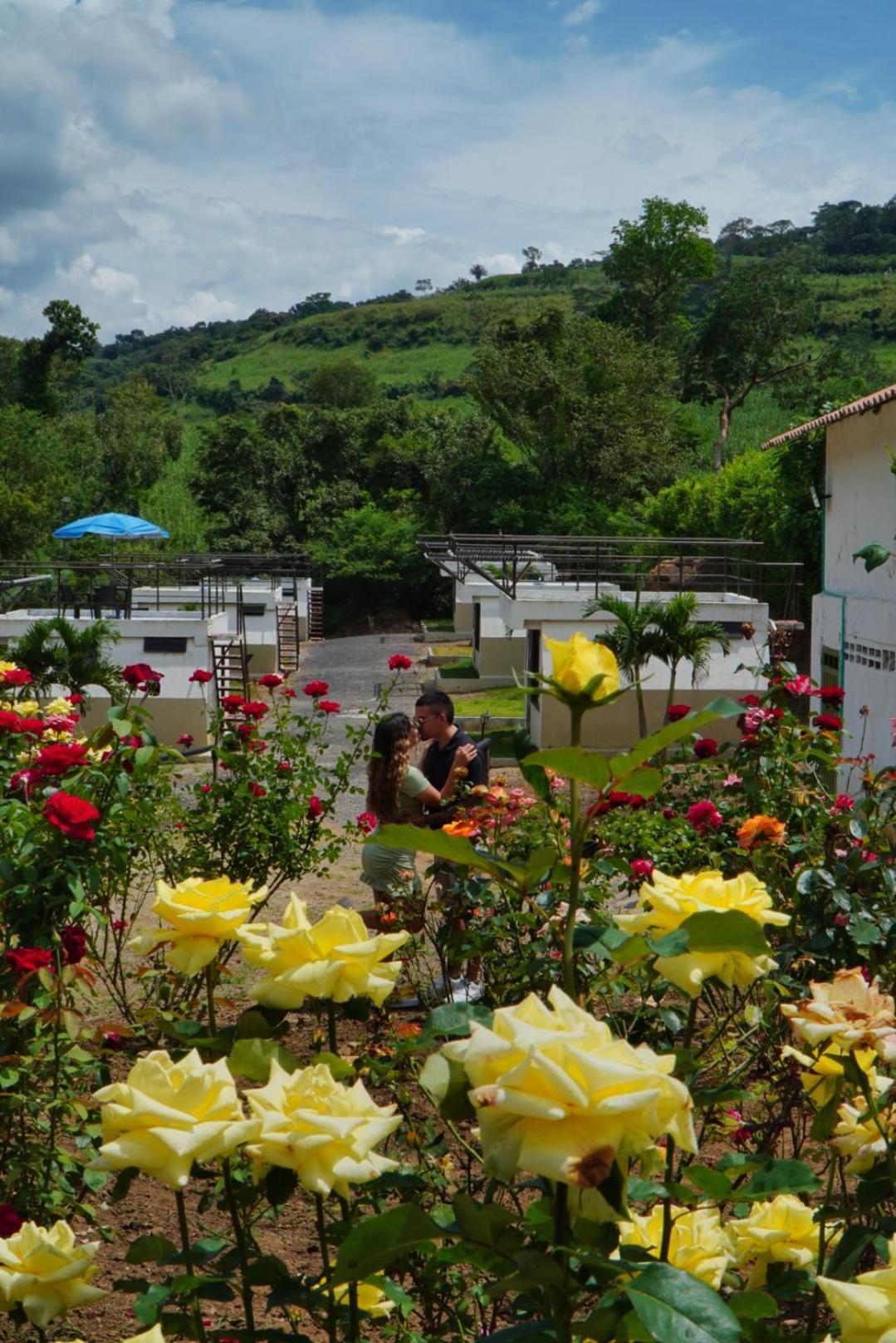 Cielo Abierto Glamping Hotell Valle de San José Exteriör bild